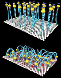 Quick-Change Surface: Material repels water on command