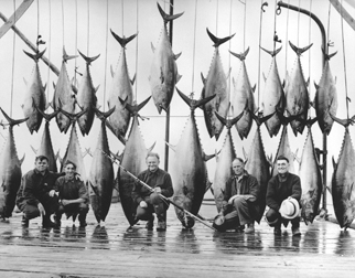 Explore the Lucrative World of Bluefin Tuna Fishing with New Discovery  Series All On The Line