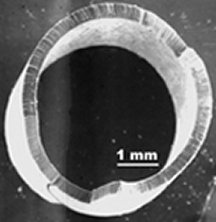 carbon nanotubes filter