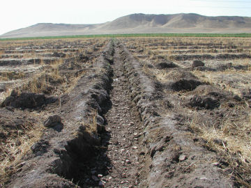 Ancient city grew from outside in