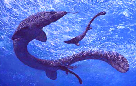 sea dinosaurs co