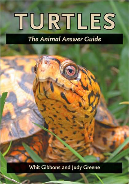 Turtles: The Animal Answer Guide by Whit Gibbons and Judy Greene