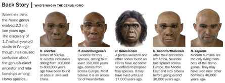 Ancient DNA Suggests New Hominid Line