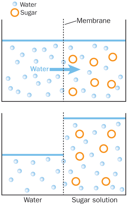 A New View of Gravity