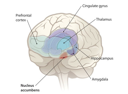 Gene therapy for depression