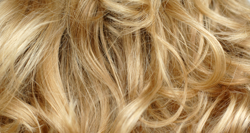 How A Genetic Quirk Makes Hair Naturally Blond Science News