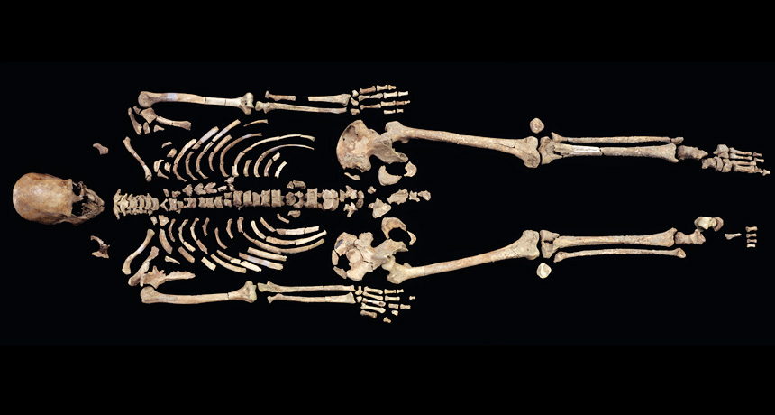 Kennewick Man’s bones reveal his diet | Science News