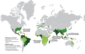 Chikungunya is on the move