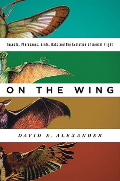 'On The Wing' Chronicles Origins Of Flying Animals