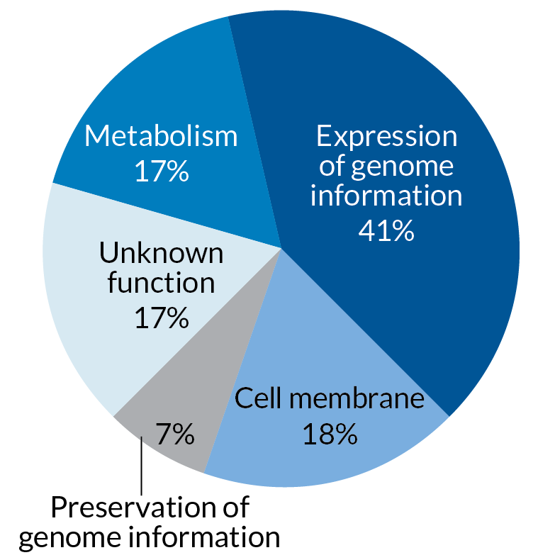 Scientists build minimum-genome bacterium