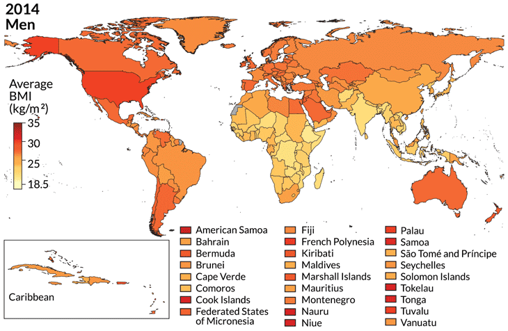 Global obesity rates continue to climb