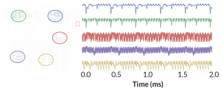 What Donkey Kong can tell us about how to study the brain