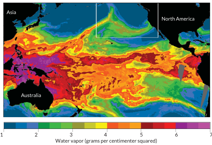 Oyster deaths linked to ‘atmospheric rivers’