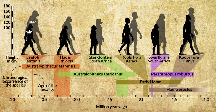 New footprint finds suggest range of body sizes for Lucy’s species