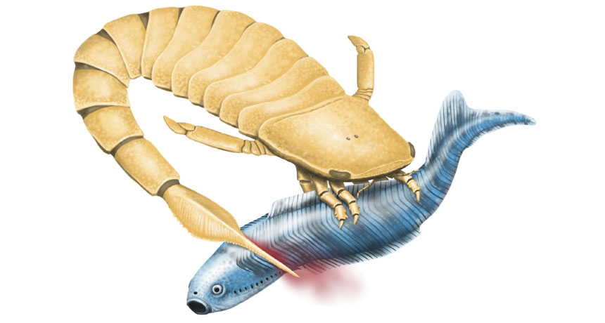 Sea scorpions slashed victims with swordlike tails