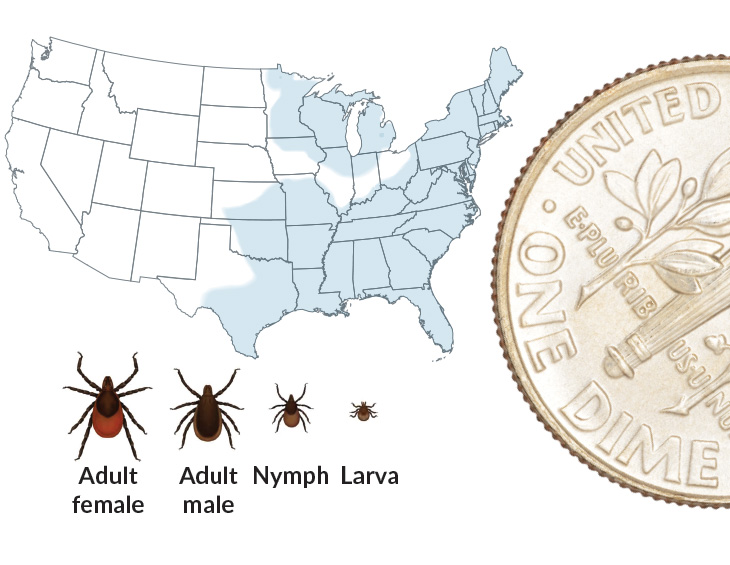 Ticks are here to stay. But scientists are finding ways to outsmart them