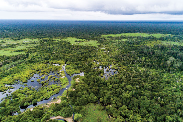 When bogs burn, the environment takes a hit