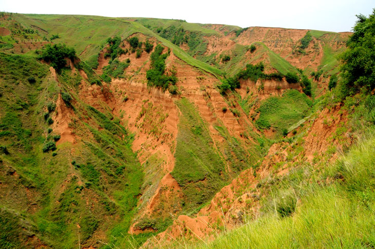 Stone tools put early hominids in China 2.1 million years ago