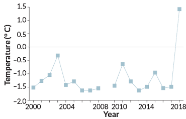 What Happens When The Bering Sea S Ice Disappears Science