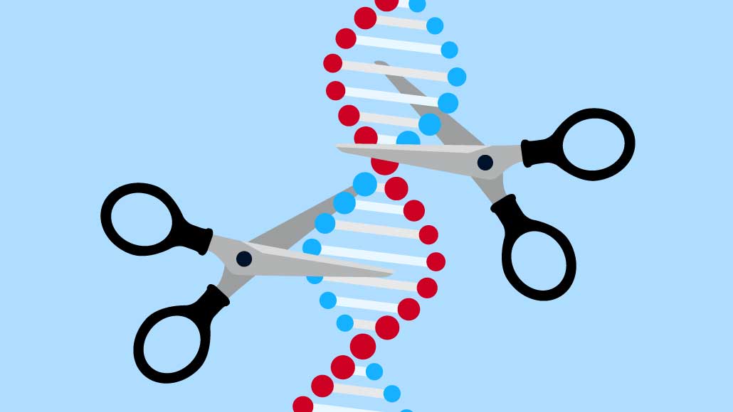 Pjece tankskib foragte CRISPR enters its first human clinical trials | Science News