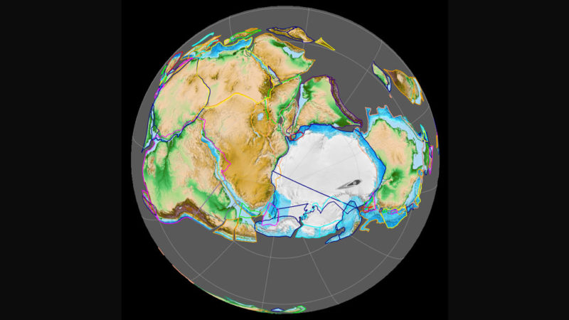 50 years ago, an Antarctic fossil pointed to Gondwanaland’s existence