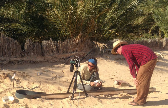 Sahara experimental set up