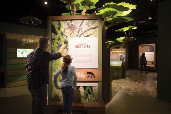 National Geographic Jane Goodall exhibit