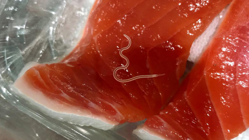 can smoked salmon have parasites