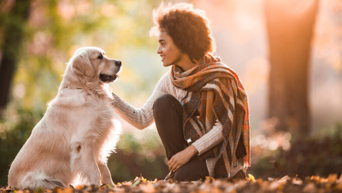 Your dog’s brain doesn’t care about your face