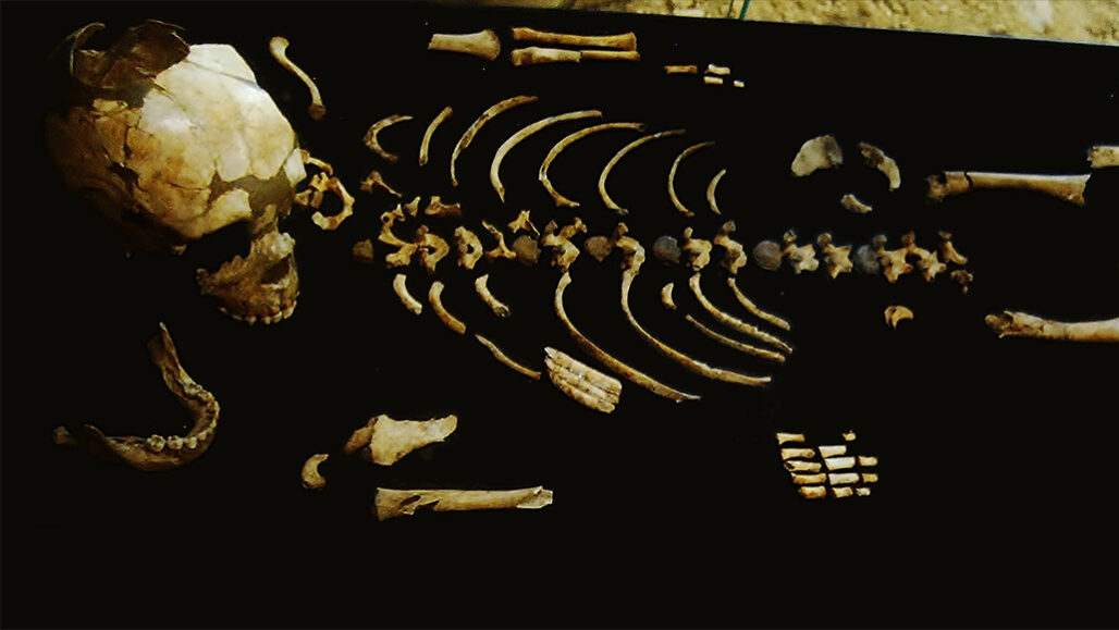 Neandertal babies had stocky chests like their parents