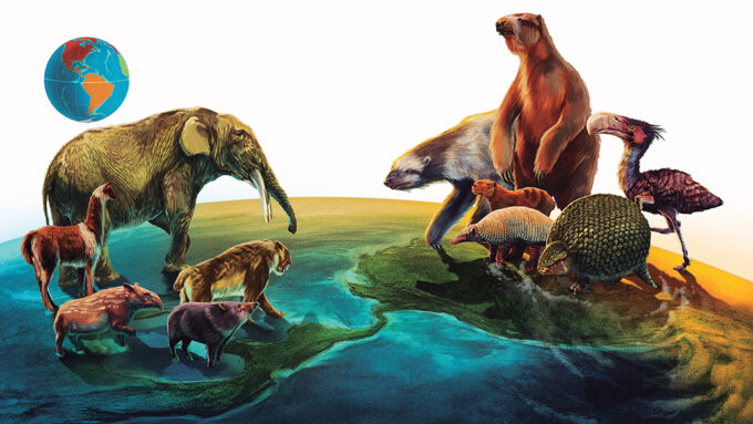 Why ancient South American mammals may have lost out to northern kin ...