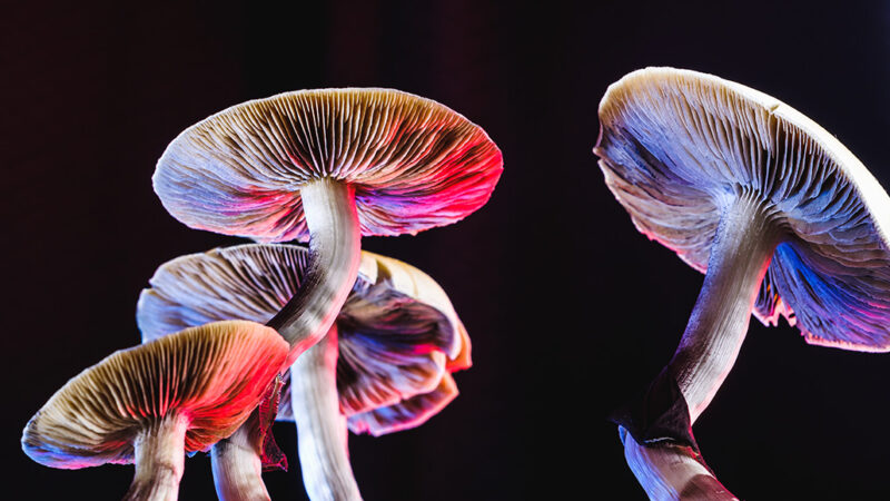 Psilocybin May Help Treat Depression, A Small Study Finds