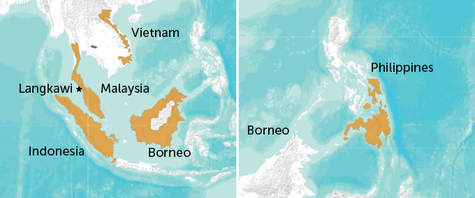 a map of Southeast Asia with the colugos' range highlighted