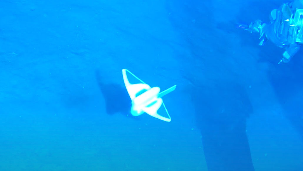 robot zwemmen in de Zuid-Chinese Zee