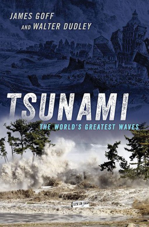 A New Book Uses Stories From Tsunami Survivors To Decode Deadly Waves