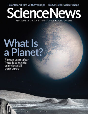 Science News | The latest news from all areas of science