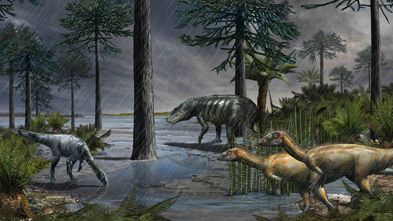 A volcano-induced rainy period made Earth’s climate dinosaur-friendly