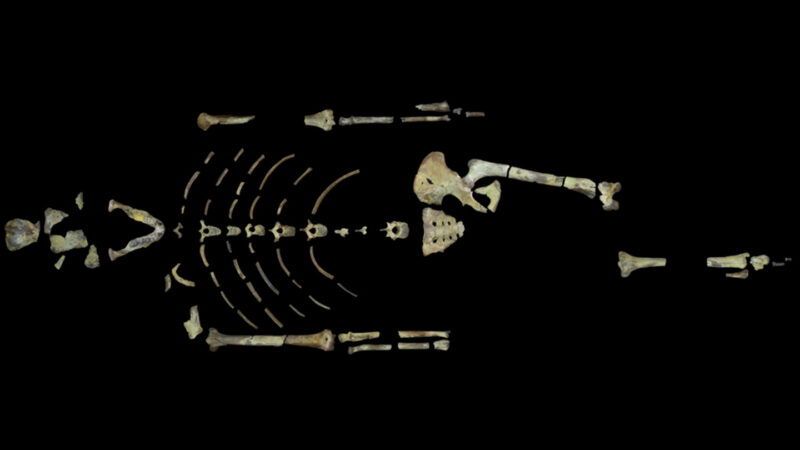 Radiometric dating puts pieces of the past in context. Here’s how