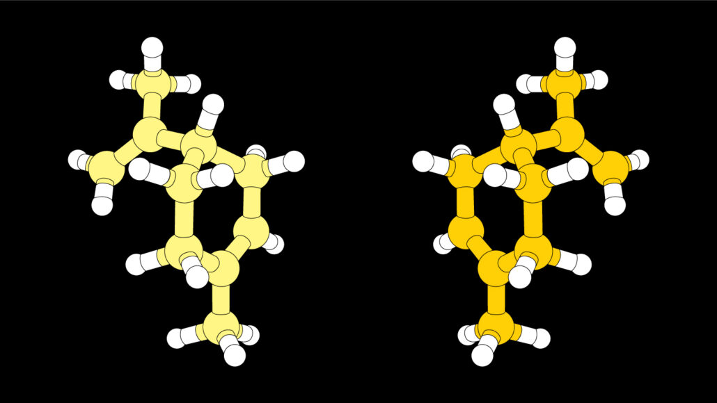 illustratie van de moleculaire structuren van twee spiegelversies van limoneen