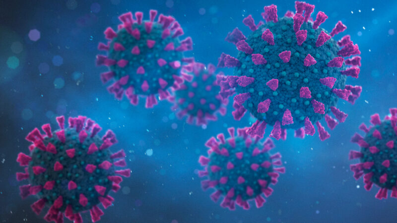 Are viruses alive? And why does it matter? | Science News