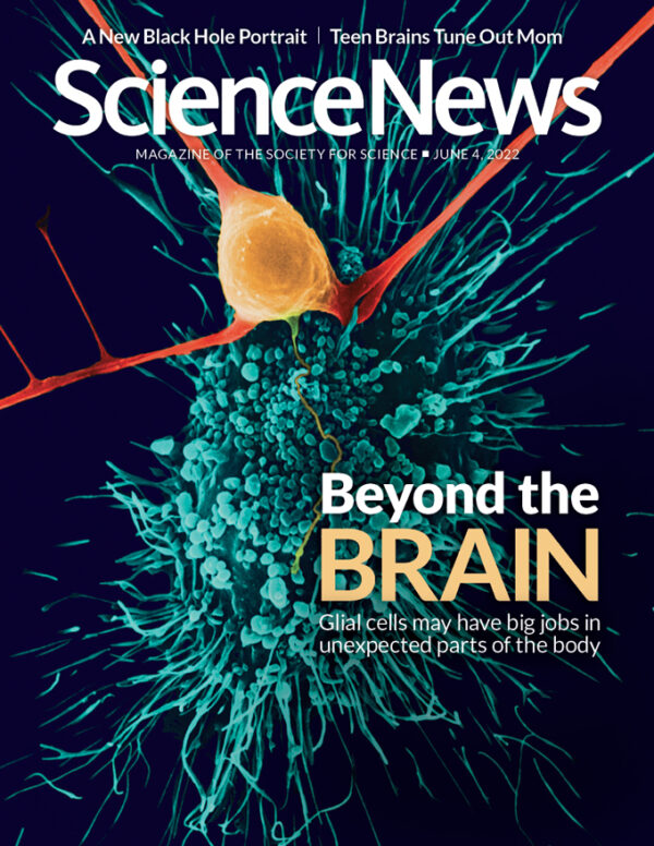 Magazine Issues Archive | Science News