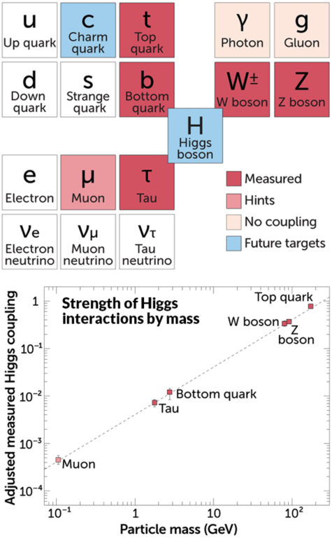 How Physicists Are Probing The Higgs Boson 10 Years After Its Discovery