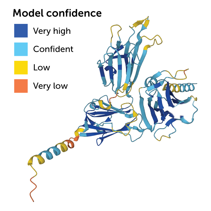 AlphaFold's AI Protein-structure Predictions Have Limits | Science News