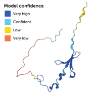 AlphaFold's AI Protein-structure Predictions Have Limits | Science News