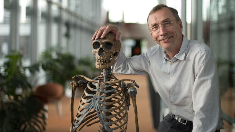 Genetics Of Human Evolution Wins The 2022 Medicine Nobel Prize ...