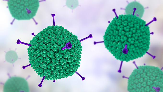 a computer generated illustration of adenovirus structures in green and purple