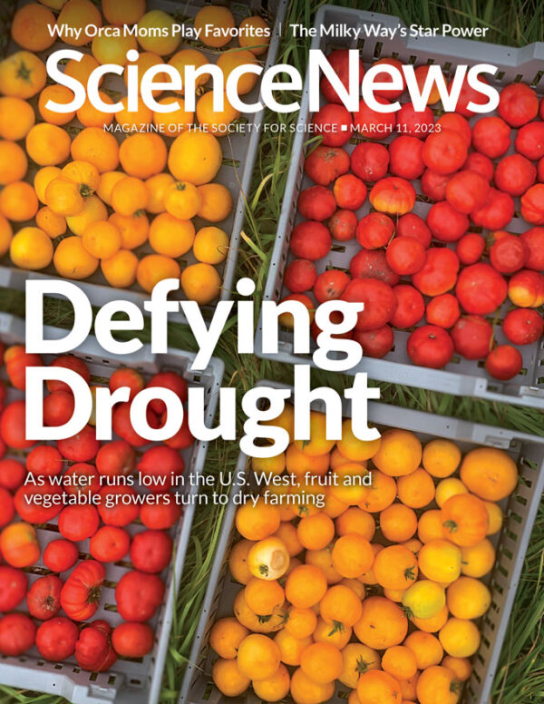 science news from research organizations