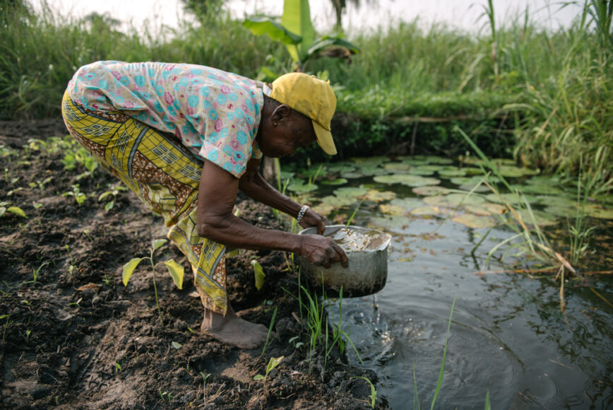 Sleeping Sickness Is Nearing Elimination. An Experimental Drug Could 