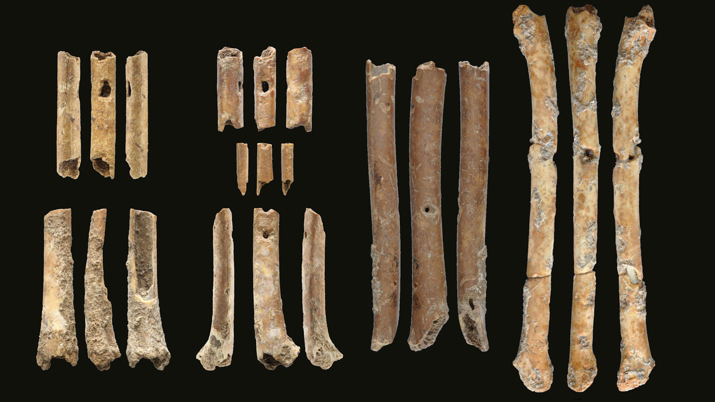 These ancient flutes may have been used to lure falcons - TrendRadars