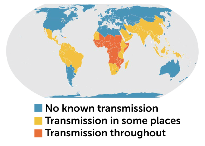 Four things to know about malaria cases in the United States